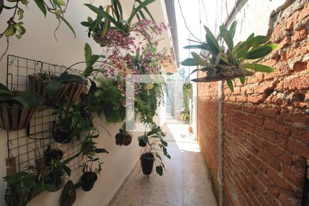 Quintal de casa à venda com 2 quartos, 100m² em Jardim Santa Helena, São Paulo