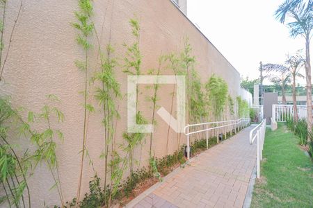 Área comum de apartamento para alugar com 2 quartos, 36m² em Socorro, São Paulo