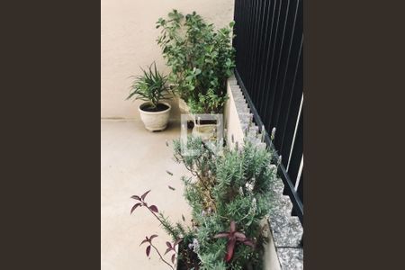 Foto 15 de apartamento à venda com 3 quartos, 70m² em Chácara Santo Antônio, São Paulo