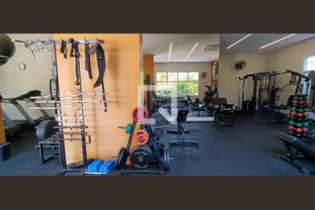 Área comum - Academia de apartamento à venda com 3 quartos, 223m² em Vila Andrade, São Paulo