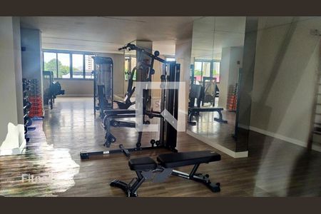 Apartamento à venda com 3 quartos, 82m² em Vila Zilda, São Paulo