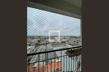 Apartamento à venda com 3 quartos, 62m² em Vila Antonieta, São Paulo