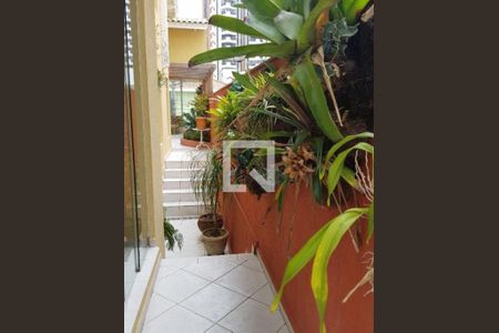 Casa à venda com 4 quartos, 425m² em Vila Regente Feijó, São Paulo