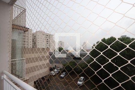 Vista da Varanda de apartamento para alugar com 2 quartos, 51m² em Vila Antonieta, São Paulo
