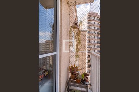 Varanda de apartamento para alugar com 2 quartos, 60m² em Vila Guarani (zona Sul), São Paulo