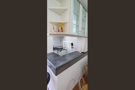 Cozinha de apartamento para alugar com 1 quarto, 30m² em Vila Suzana, São Paulo