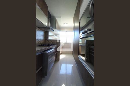 Cozinha de apartamento para alugar com 2 quartos, 50m² em Jardim Monte Alto, Campinas