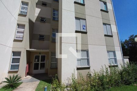 Fachada do bloco de apartamento para alugar com 2 quartos, 50m² em Jardim Monte Alto, Campinas