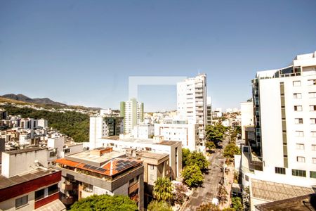 Vista/Sala 1 de apartamento à venda com 4 quartos, 300m² em Buritis, Belo Horizonte