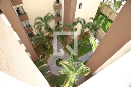 Vista da Sala de apartamento para alugar com 2 quartos, 48m² em Paulicéia, São Bernardo do Campo