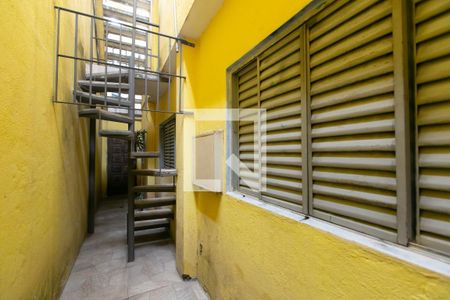Quintal de casa à venda com 3 quartos, 380m² em Vila Carmosina, São Paulo