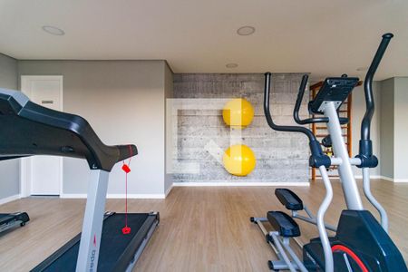 Área comum - Academia de apartamento para alugar com 2 quartos, 41m² em Parque Arariba, São Paulo