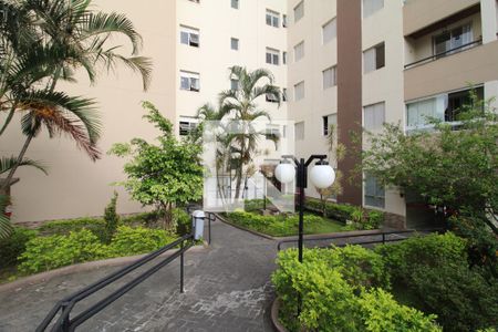 Área Comum de apartamento para alugar com 3 quartos, 65m² em Vila Nova Cachoeirinha, São Paulo