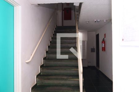 Área comum - Saguão do prédio de apartamento para alugar com 3 quartos, 50m² em Cidade Líder, São Paulo