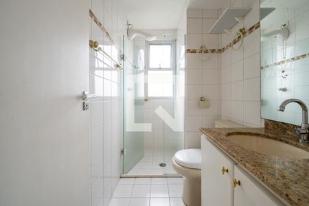 Banheiro de apartamento para alugar com 2 quartos, 63m² em Vila Santa Catarina, São Paulo