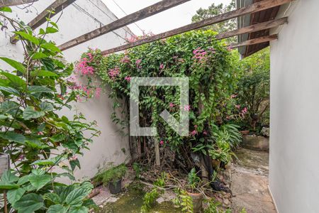 Quintal  de casa para alugar com 3 quartos, 170m² em Jardim Lírio , Hortolândia