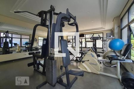 Academia de apartamento para alugar com 3 quartos, 80m² em Vila Gumercindo, São Paulo