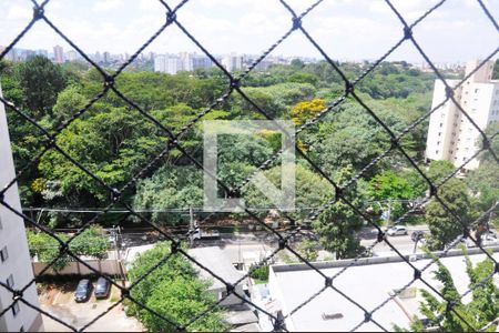 Detalhe - Vista do Quarto 01 de apartamento para alugar com 3 quartos, 75m² em São Domingos, São Paulo