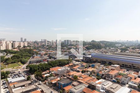 Vista da Varanda de apartamento para alugar com 2 quartos, 49m² em Vila Sonia, São Paulo