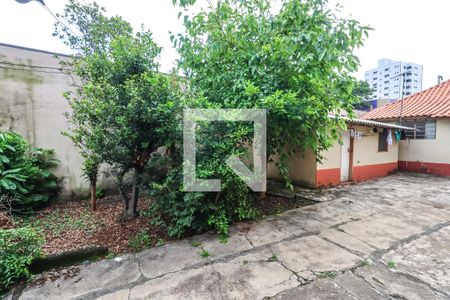 Quintal de casa à venda com 2 quartos, 498m² em Vila Moinho Velho, São Paulo