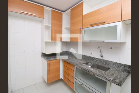 Cozinha de casa de condomínio para alugar com 2 quartos, 120m² em Vila Santos, São Paulo