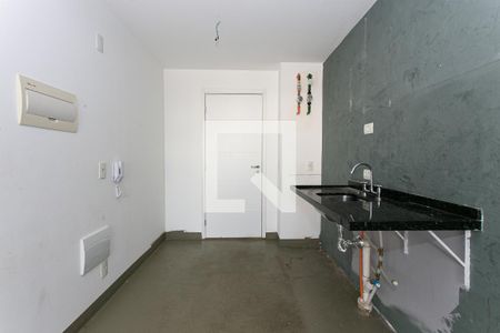 Cozinha de apartamento para alugar com 1 quarto, 25m² em Vila Zilda, São Paulo
