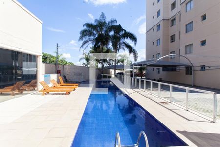 Área comum - Piscina de apartamento à venda com 2 quartos, 57m² em Planalto, Belo Horizonte