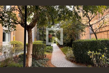 Apartamento à venda com 1 quarto, 33m² em Brás, São Paulo