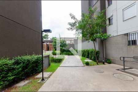 Área Comum de apartamento para alugar com 2 quartos, 38m² em Loteamento City Jaragua, São Paulo