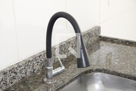 Cozinha de apartamento para alugar com 2 quartos, 60m² em Res. Morada das Araras, Vinhedo