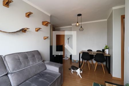 Sala de apartamento para alugar com 2 quartos, 43m² em Sumarezinho, Santo André