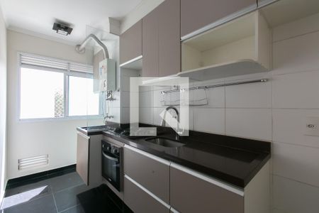 Cozinha - Armários de apartamento à venda com 2 quartos, 46m² em Vila Carmosina, São Paulo