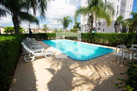 Área comum - Piscina de apartamento para alugar com 2 quartos, 44m² em Marechal Rondon, Canoas