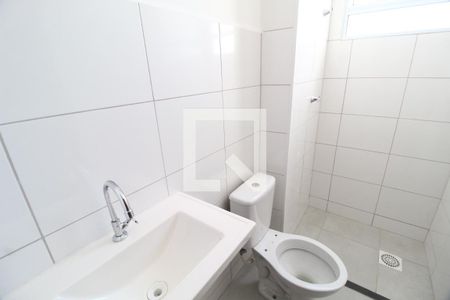 Banheiro Social de apartamento para alugar com 2 quartos, 55m² em Jardim Sul, Uberlândia
