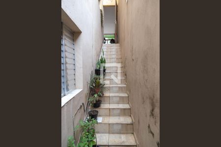 Escada Casa 3 de casa à venda com 5 quartos, 220m² em Jardim São Domingos, Guarulhos