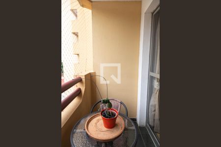 Varanda Sala de apartamento à venda com 3 quartos, 76m² em Cidade Brasil, Guarulhos