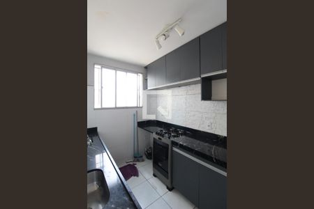 Cozinha e Área de Serviço de apartamento para alugar com 2 quartos, 45m² em Bandeirantes (pampulha), Belo Horizonte
