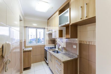 Cozinha e Área de Serviço de apartamento para alugar com 2 quartos, 49m² em Vila Príncipe de Gales, Santo André