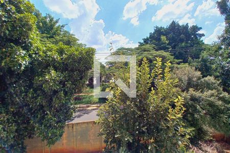 Vista do Quarto 1 de apartamento à venda com 3 quartos, 93m² em Jardim Indianópolis, Campinas