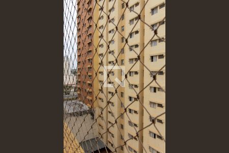 Vista da Área de Serviço de apartamento para alugar com 3 quartos, 82m² em Centro, Campinas