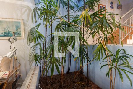 Sala de Jantar - Jardim de Inverno  de casa à venda com 3 quartos, 267m² em Cidade Mãe do Céu, São Paulo