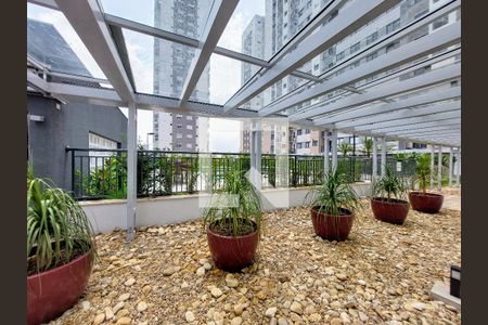 Área Comum de apartamento à venda com 3 quartos, 58m² em Campininha, São Paulo