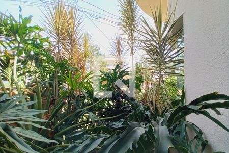 Vista da Sala de TV de casa de condomínio para alugar com 4 quartos, 420m² em Swiss Park, Campinas