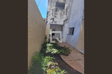 Quintal de casa para alugar com 2 quartos, 700m² em Barreiros, São José
