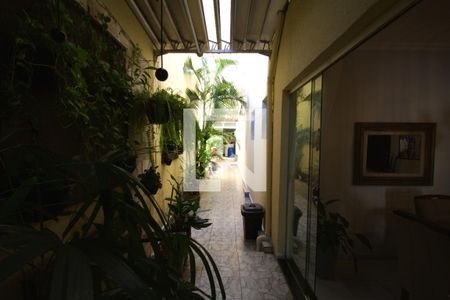 Quintal de apartamento à venda com 5 quartos, 320m² em Coracao de Jesus, Belo Horizonte