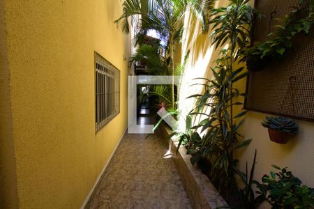 Quintal de apartamento à venda com 5 quartos, 320m² em Coracao de Jesus, Belo Horizonte