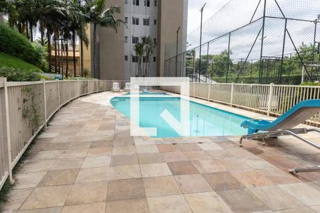 Área comum - Piscina de apartamento para alugar com 3 quartos, 60m² em Cidade Patriarca, São Paulo