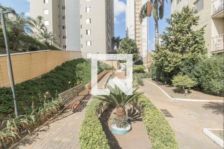Área comum de apartamento para alugar com 3 quartos, 60m² em Cidade Patriarca, São Paulo
