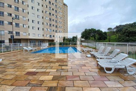 Área comum - Piscina de apartamento à venda com 2 quartos, 49m² em Ponte Pequena, Valinhos