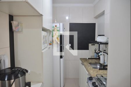 Cozinha de apartamento à venda com 2 quartos, 43m² em Vila Curuçá, Santo André